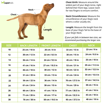 Pet Set Go Wind Sheeter Jackets for Dogs (Red)