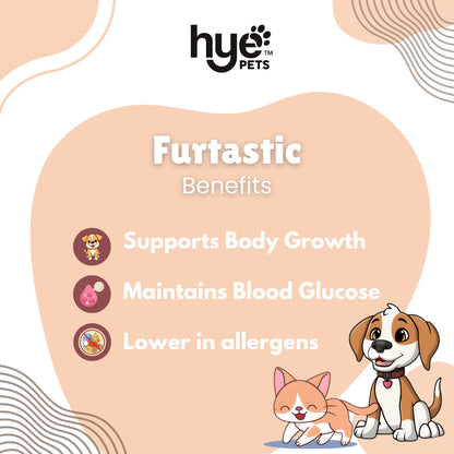HYE Pets Nutrient Rich Full Fat Camel Milk Powder for Dogs and Cats