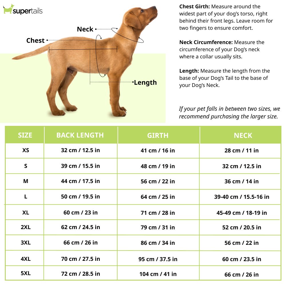 Pets Way Thunder Dog Raincoat for Dogs (Yellow Orange)
