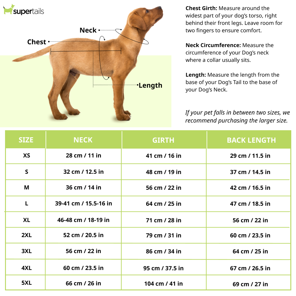 Pets Way Lucknow Super Guards IPL Jersey for Dogs and Cats (Blue)| Indian Pet League