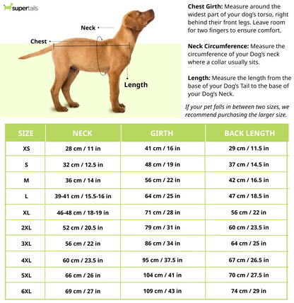 Pets Way Vacation Tshirt for Dogs
