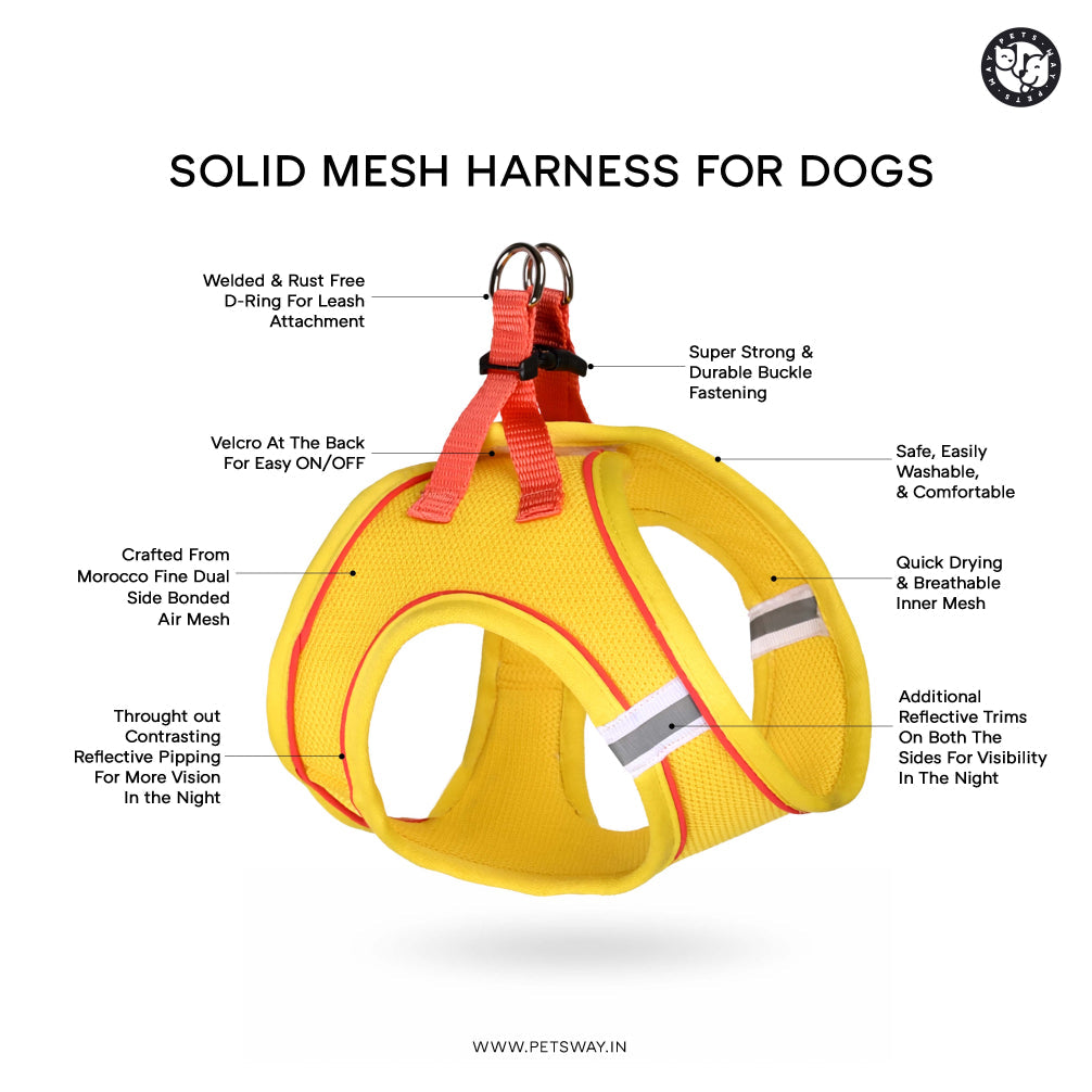 Pets Way Air Mesh Harness for Puppies & Small Dogs (Blue)