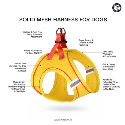 Pets Way Air Mesh Harness for Puppies & Small Dogs (Blue)