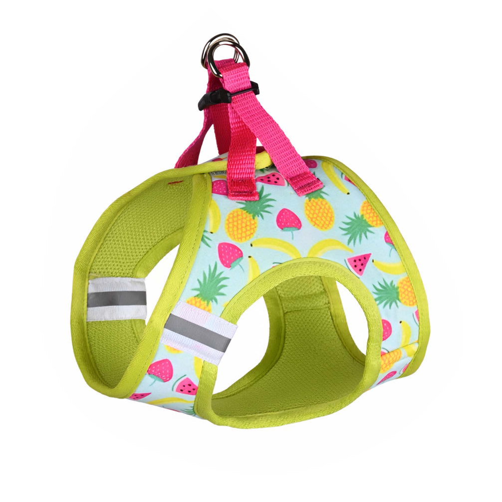 Pets Way Fruity Air Mesh Printed Harness for Puppies and Small Dogs