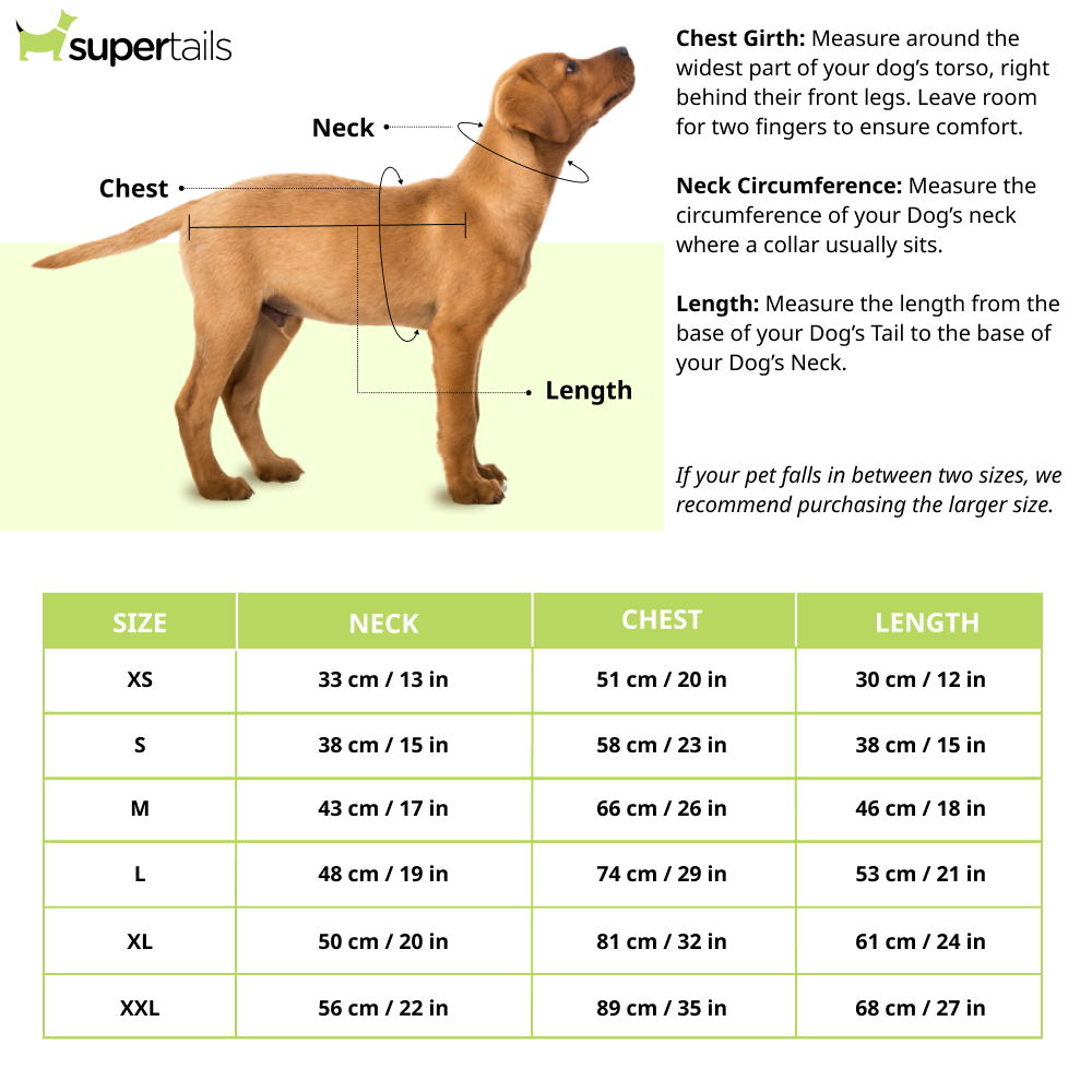Petsnugs Nordic Knit Sweater for Dogs and Cats (Red/White/Green)