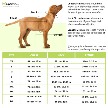 Pets Way Reversible Cozy Quilt Fur Winter Jacket for Dogs (Sky Blue)