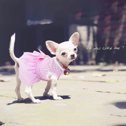 KUTKUT Princess Tutu Striped Dress for Small Breed Dogs & Cats (Pink)
