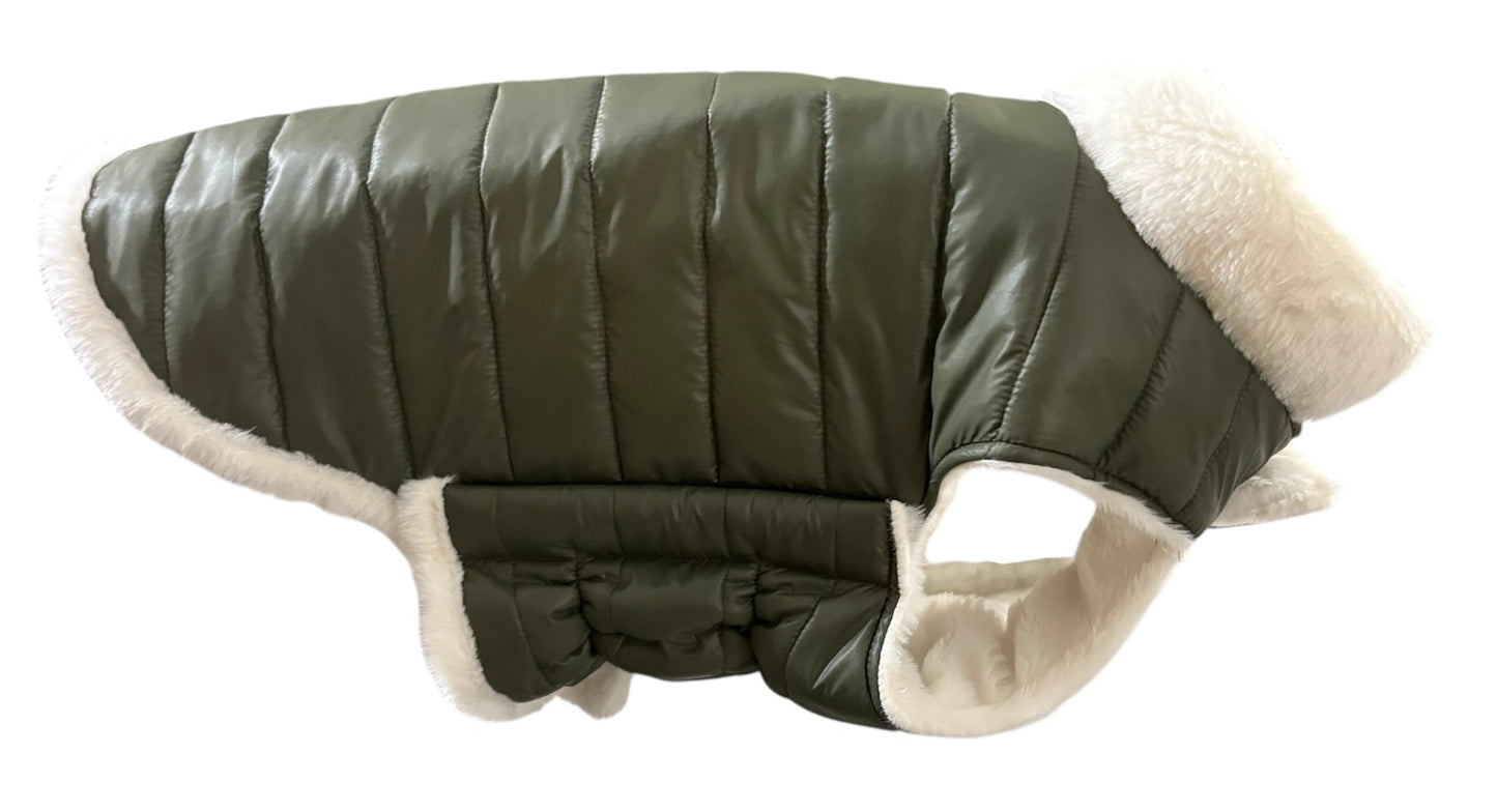 Woofiezz Warm & Comfortable Winter Jackets for Dogs and Cats (Olive Green)