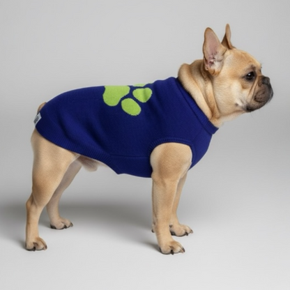 Talking Dog Club Bright Winter High Paw Jumper Sweater for Dogs (Blue)