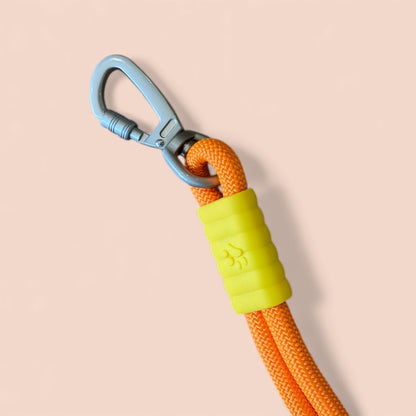 Talking Dog Club Extra Strong Vivid Handle Leash for Dogs (Orange/Purple)