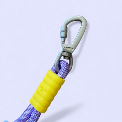 Talking Dog Club Extra Strong Vivid Handle Leash for Dogs (Purple/Purple)