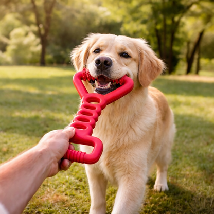 Talking Dog Club Tug Off Natural Rubber Chew Toy for Dogs (Red)