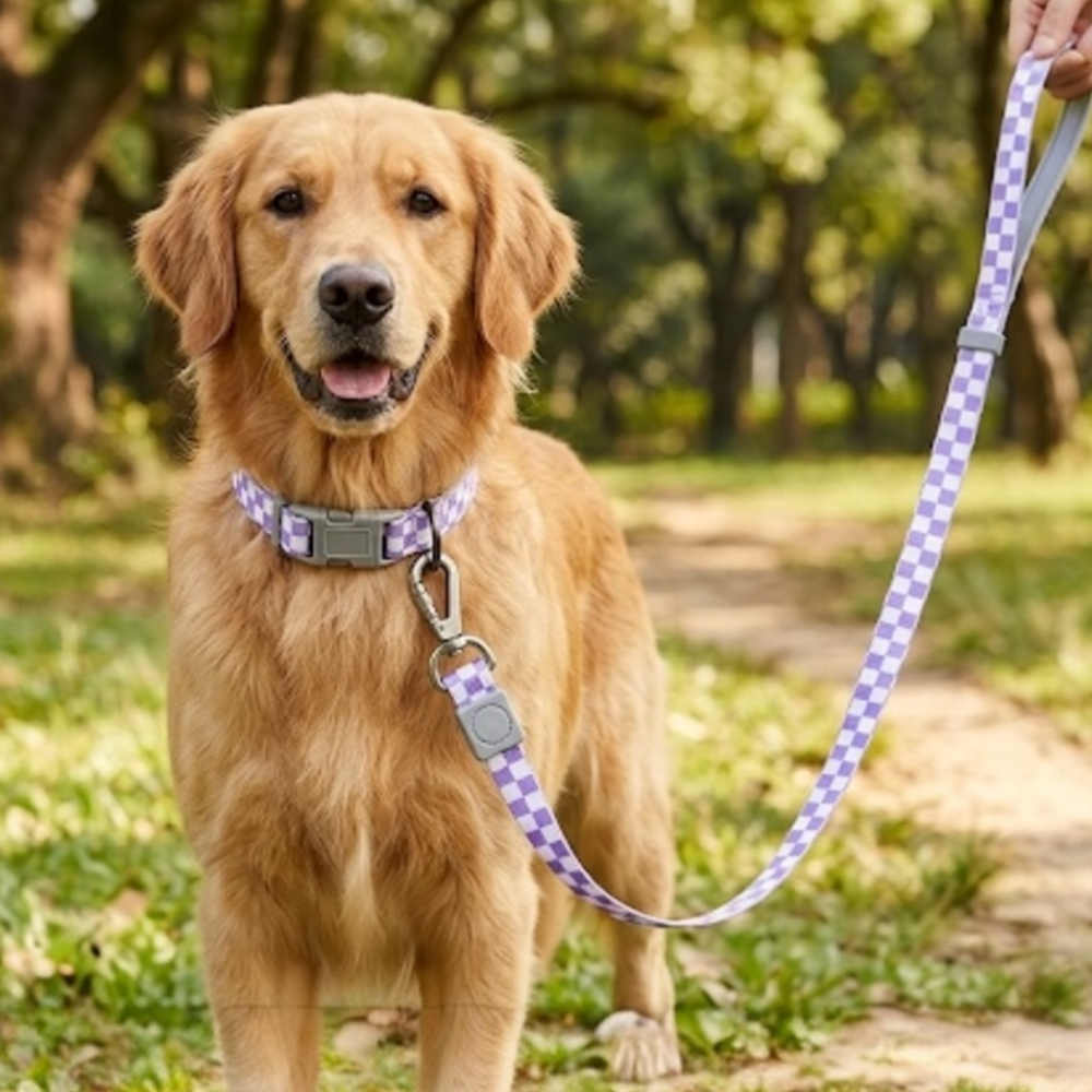 Talking Dog Club Checkmate Leash and Collar Combo (Purple)