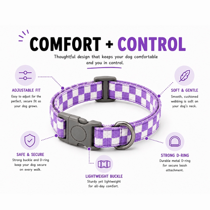 Talking Dog Club Checkmate Leash and Collar Combo (Purple)