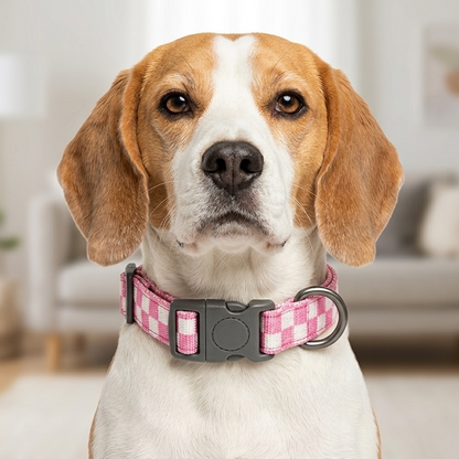 Talking Dog Club Checkmate Leash and Collar Combo (Pink)