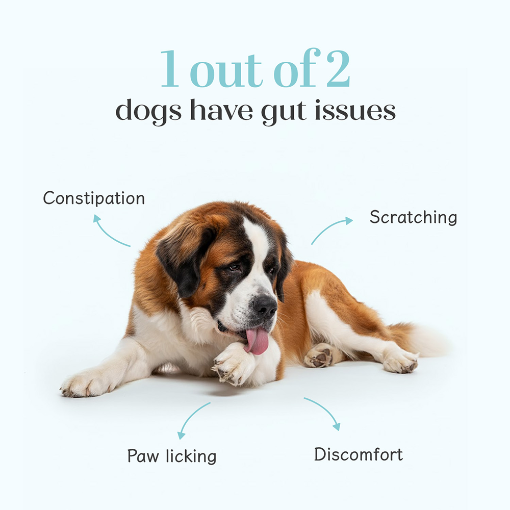 Hope Chicken Flavoured Pre+ Probiotics Supplement for Dogs