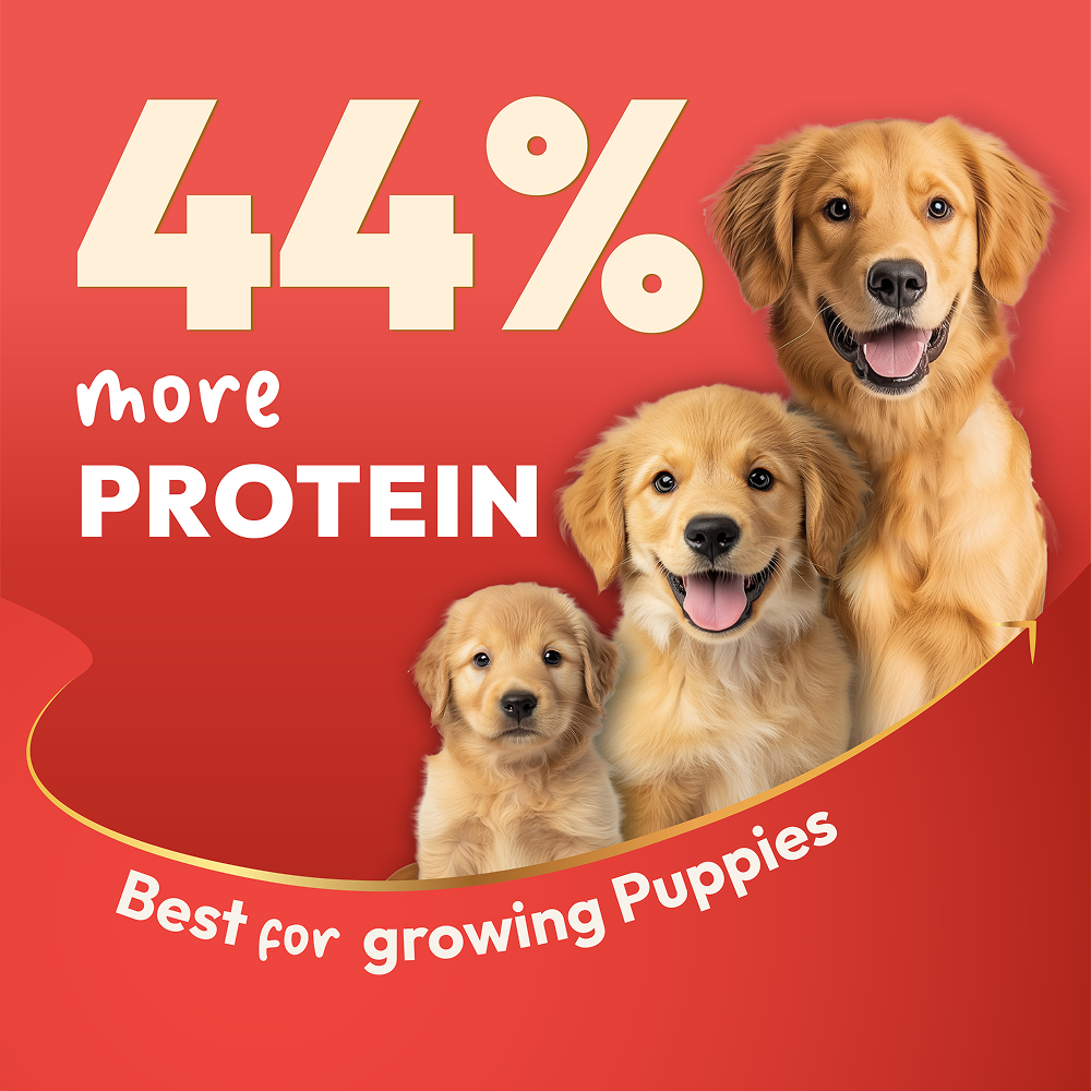 DatGud Chicken & Brown Rice Puppy Dog Dry Food (Buy 1 Get 1 Free)