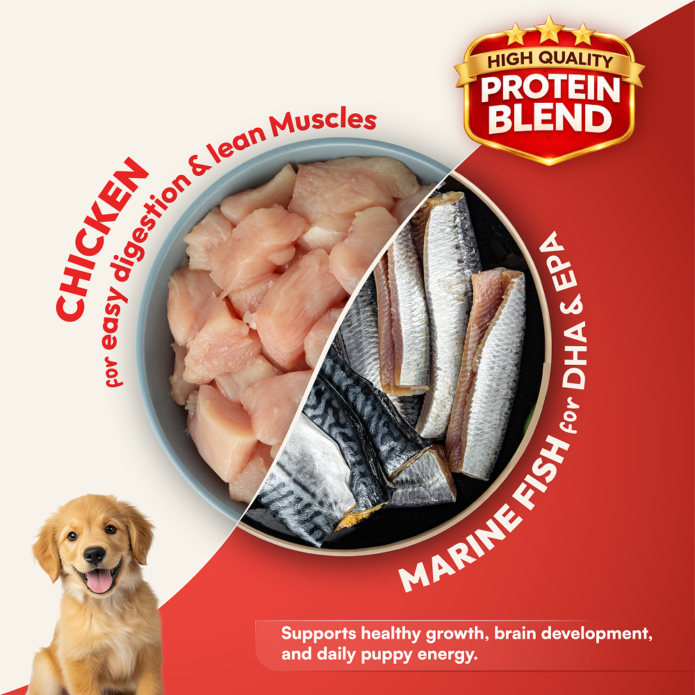 DatGud Chicken & Brown Rice Puppy Dog Dry Food (Buy 1 Get 1 Free)