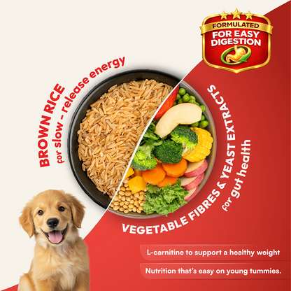 DatGud Chicken & Brown Rice Puppy Dog Dry Food (Buy 1 Get 1 Free)