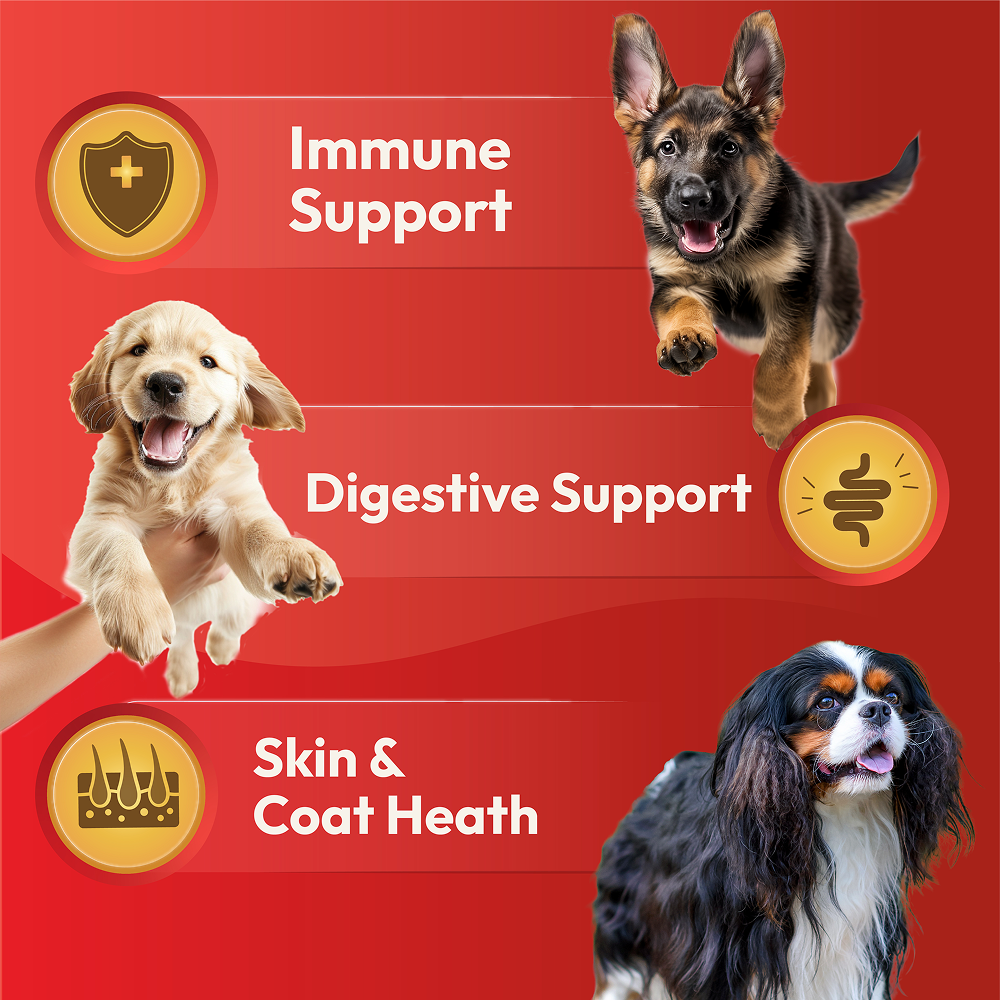 DatGud Chicken & Brown Rice Puppy Dog Dry Food (Buy 1 Get 1 Free)