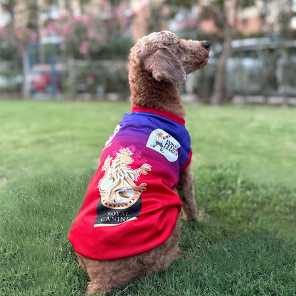 Pets Way Royal Canines Bengaluru Team Jersey Vest for Dogs | Indian Pet League