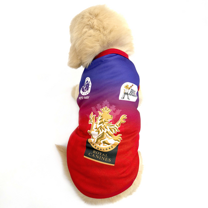 Pets Way Royal Canines Bengaluru Team Jersey Vest for Dogs | Indian Pet League