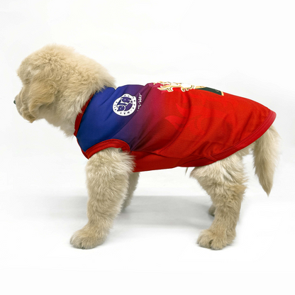 Pets Way Royal Canines Bengaluru Team Jersey Vest for Dogs | Indian Pet League