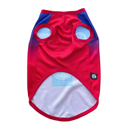 Pets Way Royal Canines Bengaluru Team Jersey Vest for Dogs | Indian Pet League
