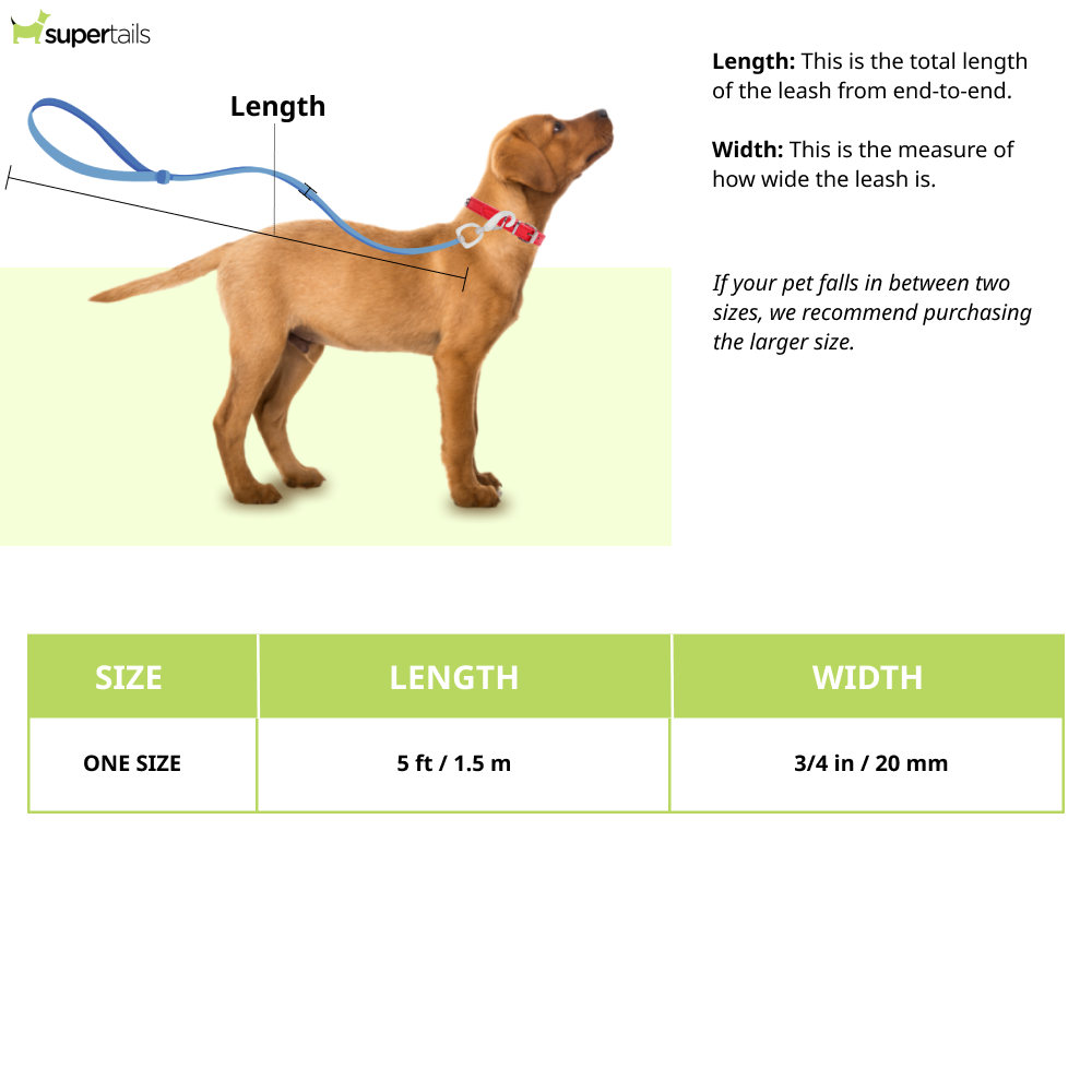 Ruffwear Front Range Leash for Dogs (Blue Pool)