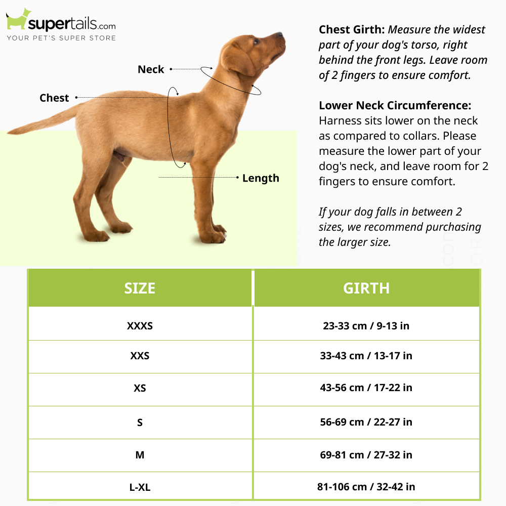 Ruffwear Hi & Light Harness for Dogs (Lichen Green)