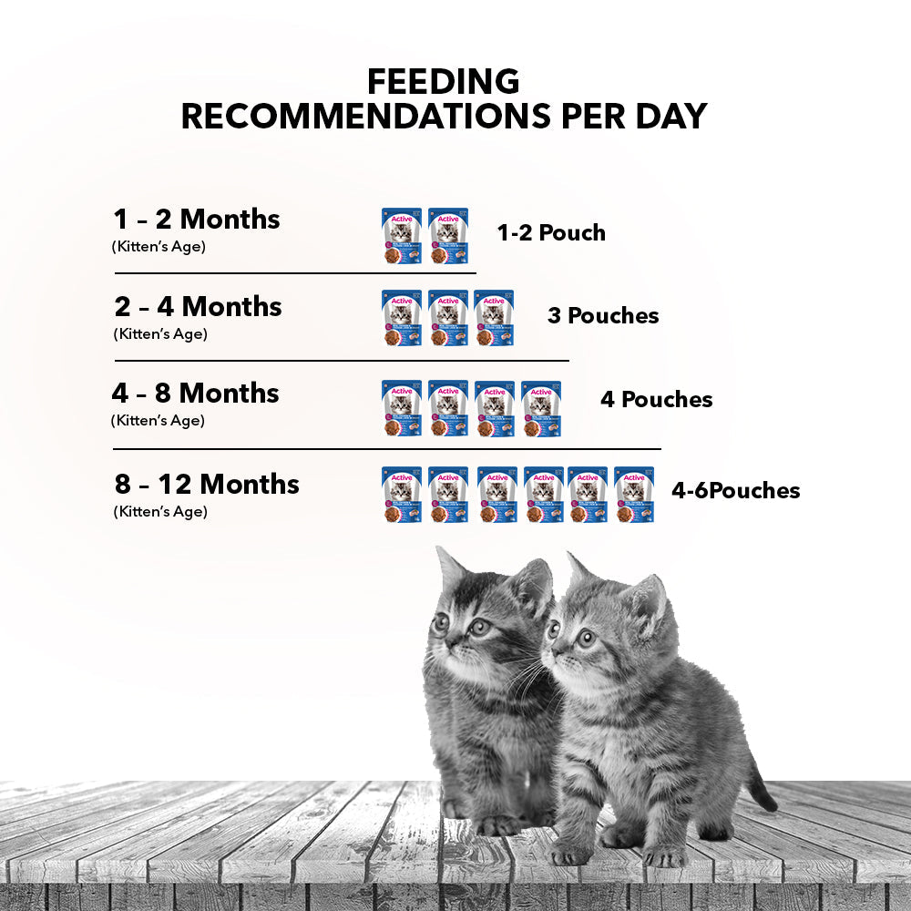 Active Real Chicken & Chicken Liver in Gravy Kitten Cat Wet Food ( Buy 1 Get 1)