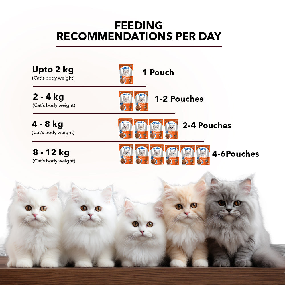 Active Real Salmon Fish in Gravy Adult Cat Wet Food ( Buy 1 Get 1 )