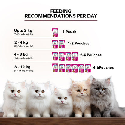 Active Real Tuna Fish in Gravy Adult Cat Wet Food ( Buy 1 Get 1 )