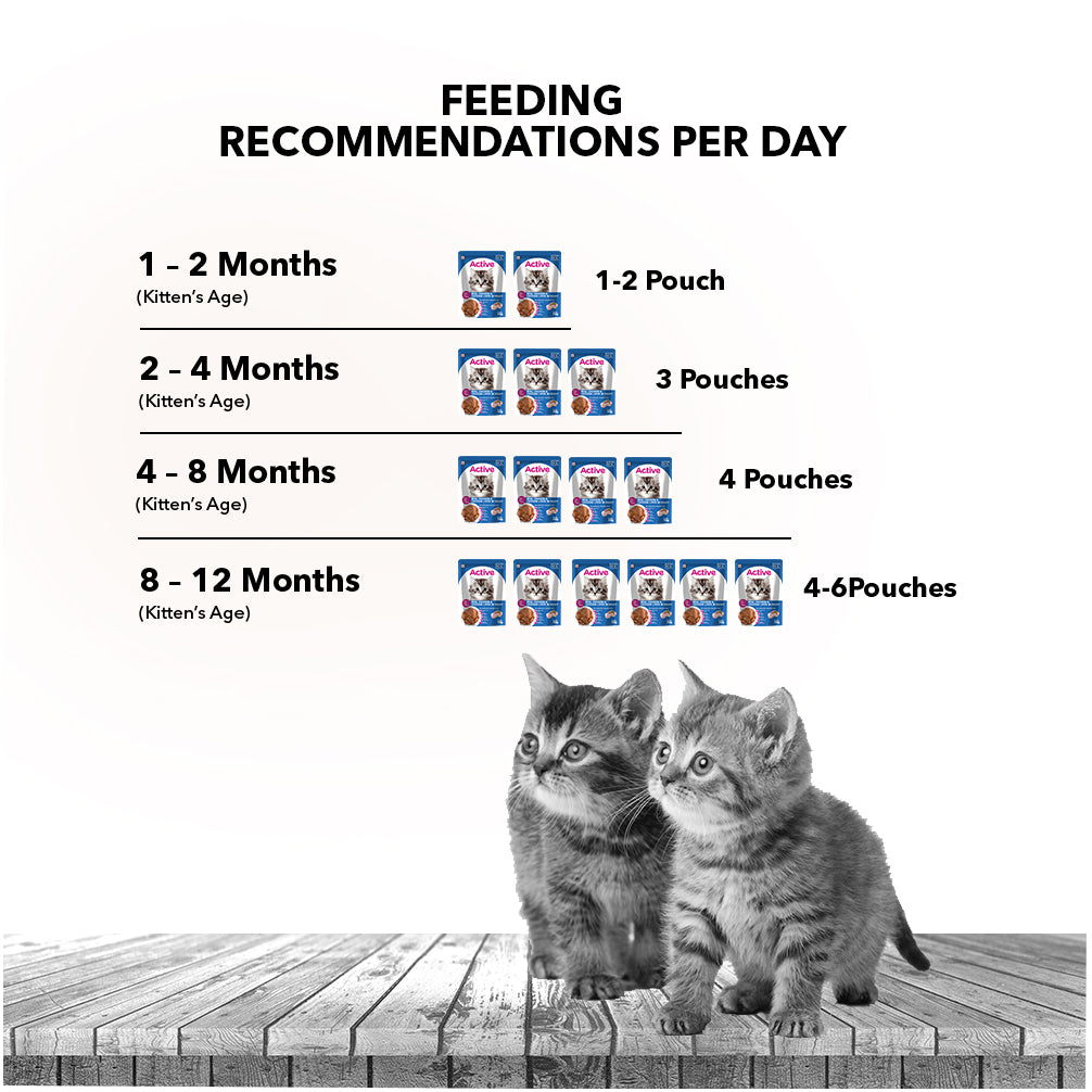 Active Real Chicken & Chicken Liver in Gravy Kitten Cat Wet Food ( Buy 1 Get 1)