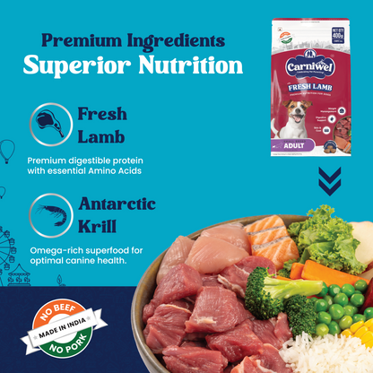 Carniwel Fresh Lamb Small Breed Adult Dog Dry Food and Fullr Mobility Support Soft and Chewy Stick Dog Treats