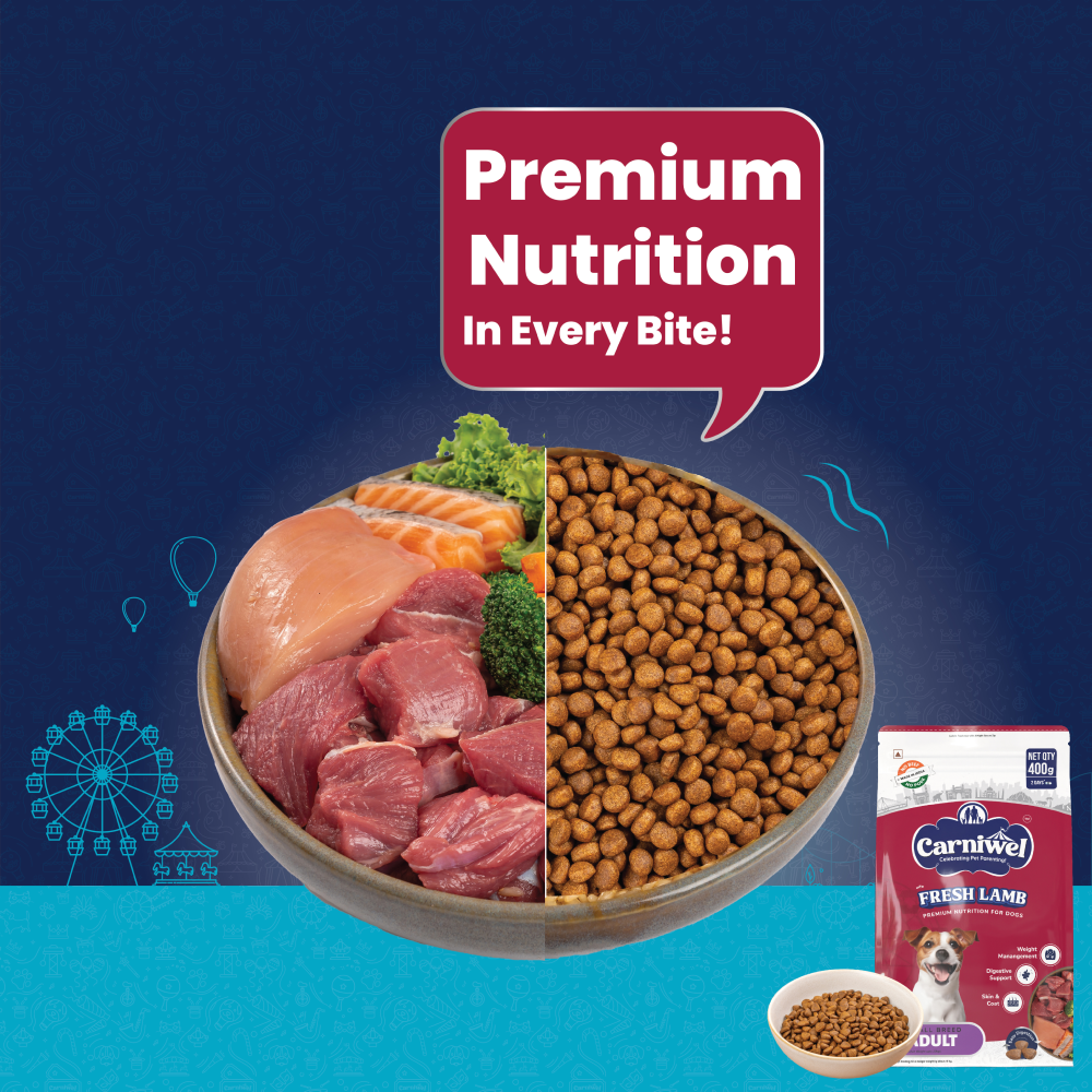 Carniwel Fresh Lamb Small Breed Adult Dog Dry Food and Fullr Mobility Support Soft and Chewy Stick Dog Treats