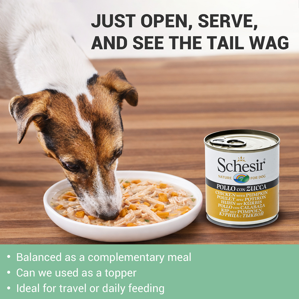 Schesir Chicken & Rice with Pumpkin in Jelly Dog Wet Food
