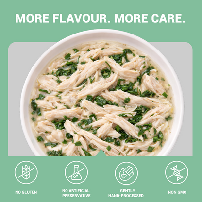 Schesir Chicken & Rice with Spinach in Jelly Dog Wet Food