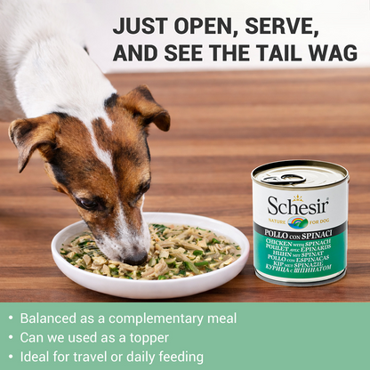 Schesir Chicken & Rice with Spinach in Jelly Dog Wet Food