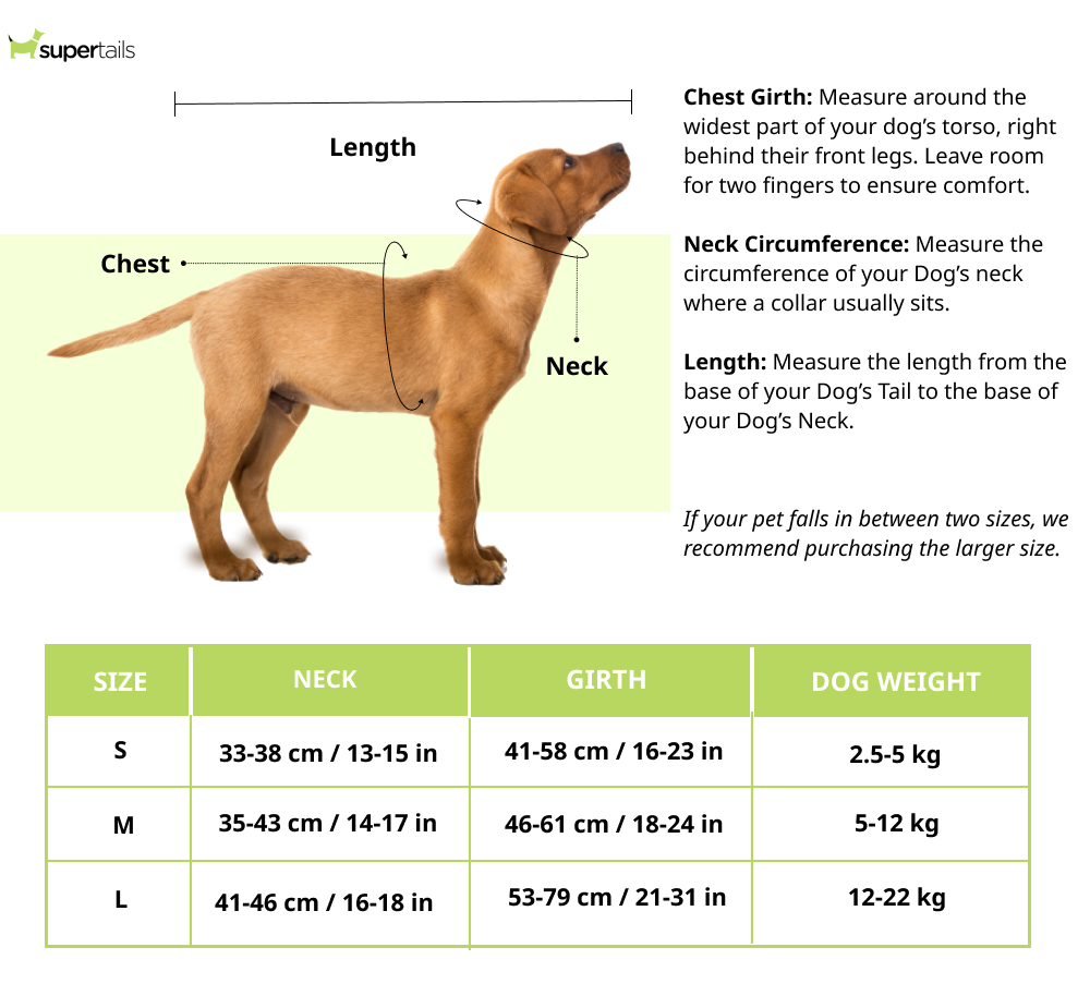 Skatrs Fully Padded Harness for Dogs (Aqua Teal)