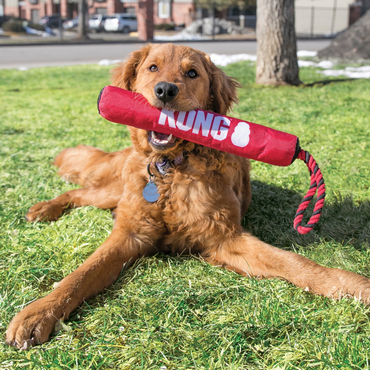 Kong Signature Stick with Rope Toy for Dogs