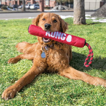 Kong Signature Stick with Rope Toy for Dogs
