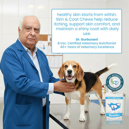 Nootie+ Omega Rich Skin & Coat Support Chews Supplement for Dogs