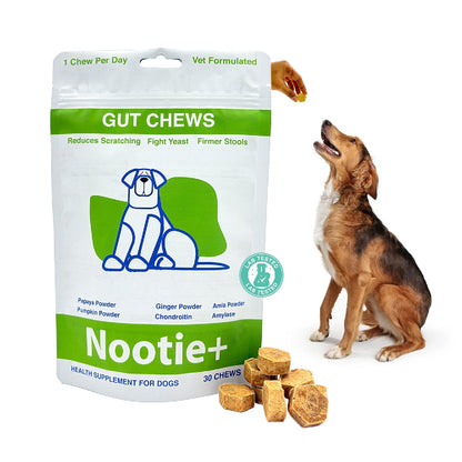 Nootie+ Digestive & Probiotic Gut Chew Supplement for Dogs