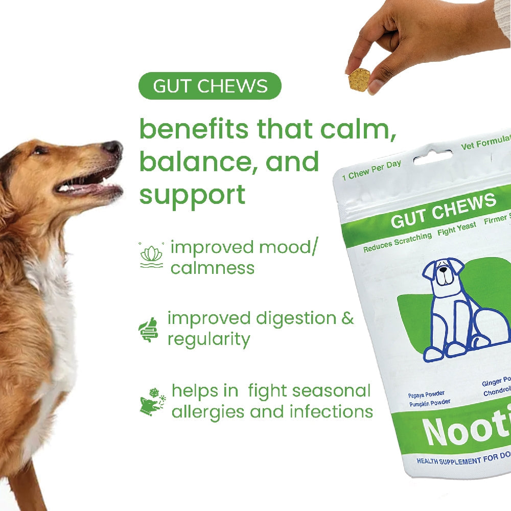 Nootie+ Digestive & Probiotic Gut Chew Supplement for Dogs