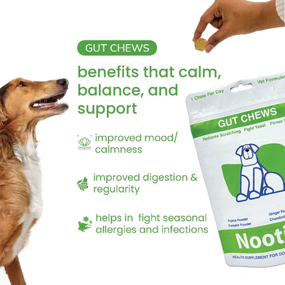 Nootie+ Digestive & Probiotic Gut Chew Supplement for Dogs