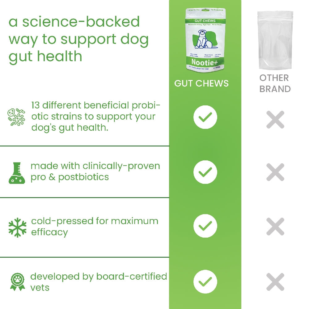 Nootie+ Digestive & Probiotic Gut Chew Supplement for Dogs