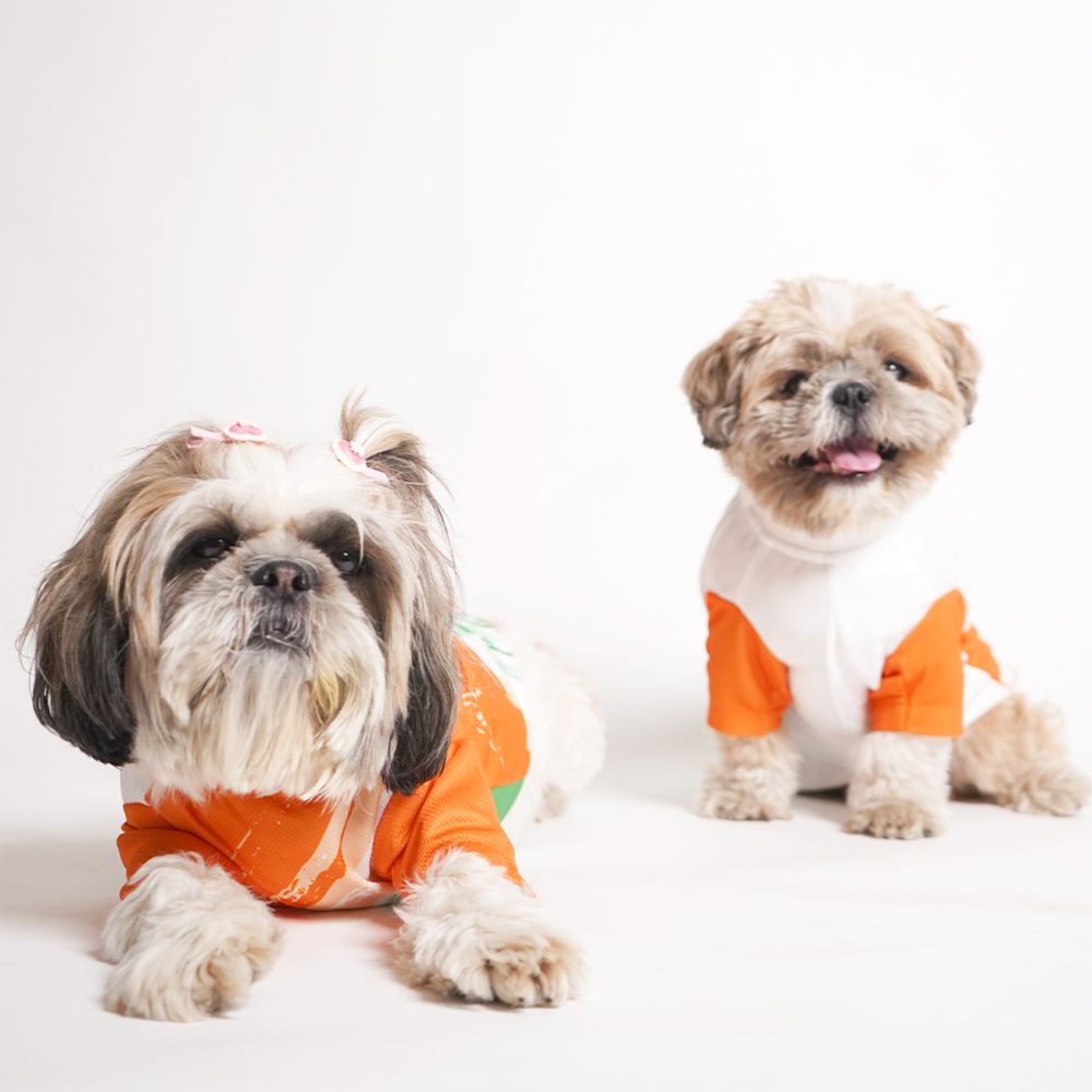 Pets Way Team India Spirit Tshirt for Dogs