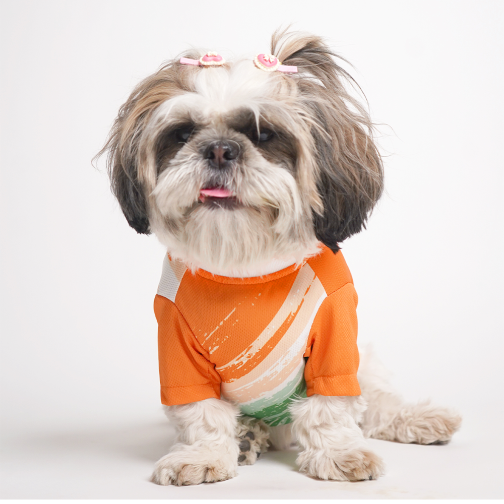 Pets Way Team India Spirit Tshirt for Dogs