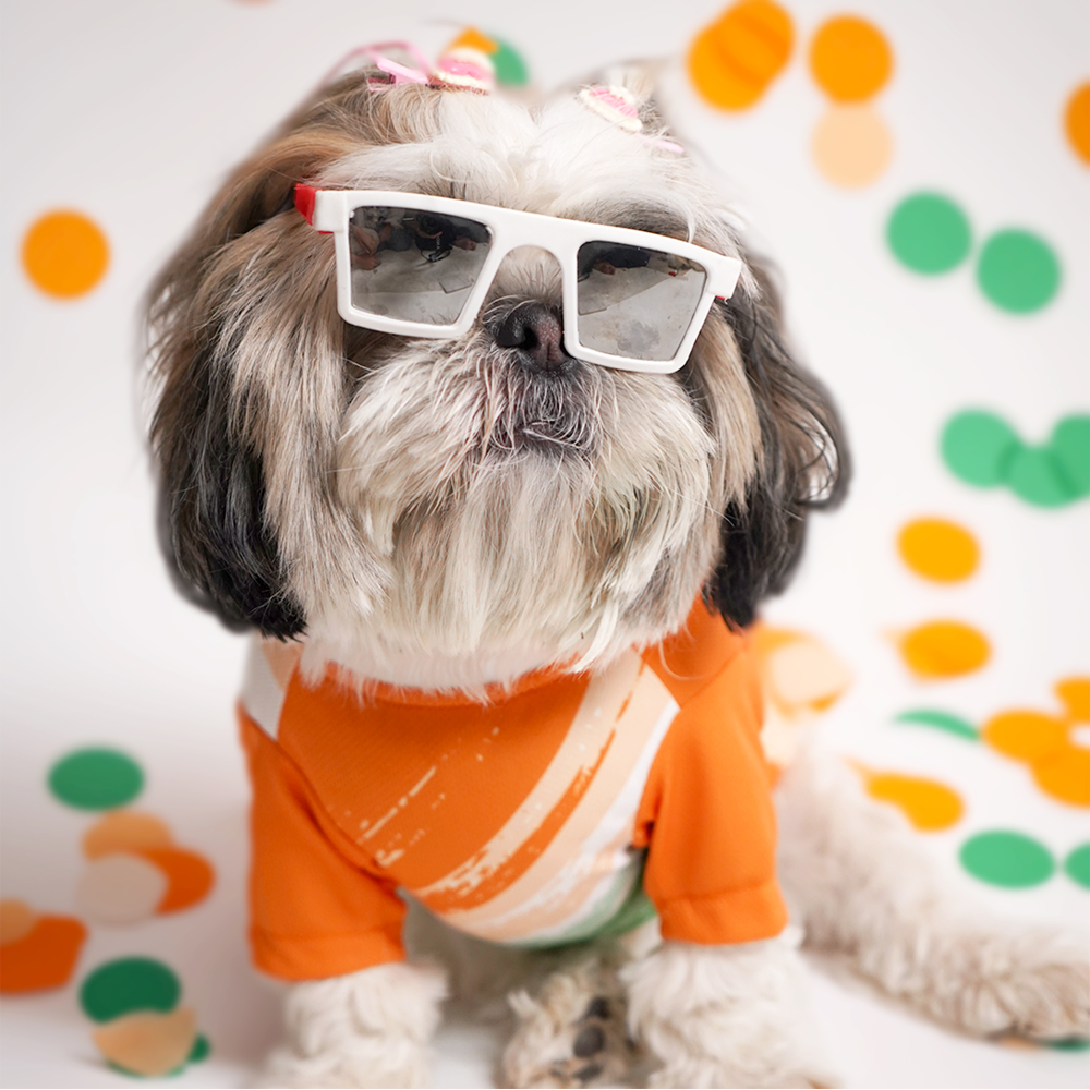 Pets Way Team India Spirit Tshirt for Dogs